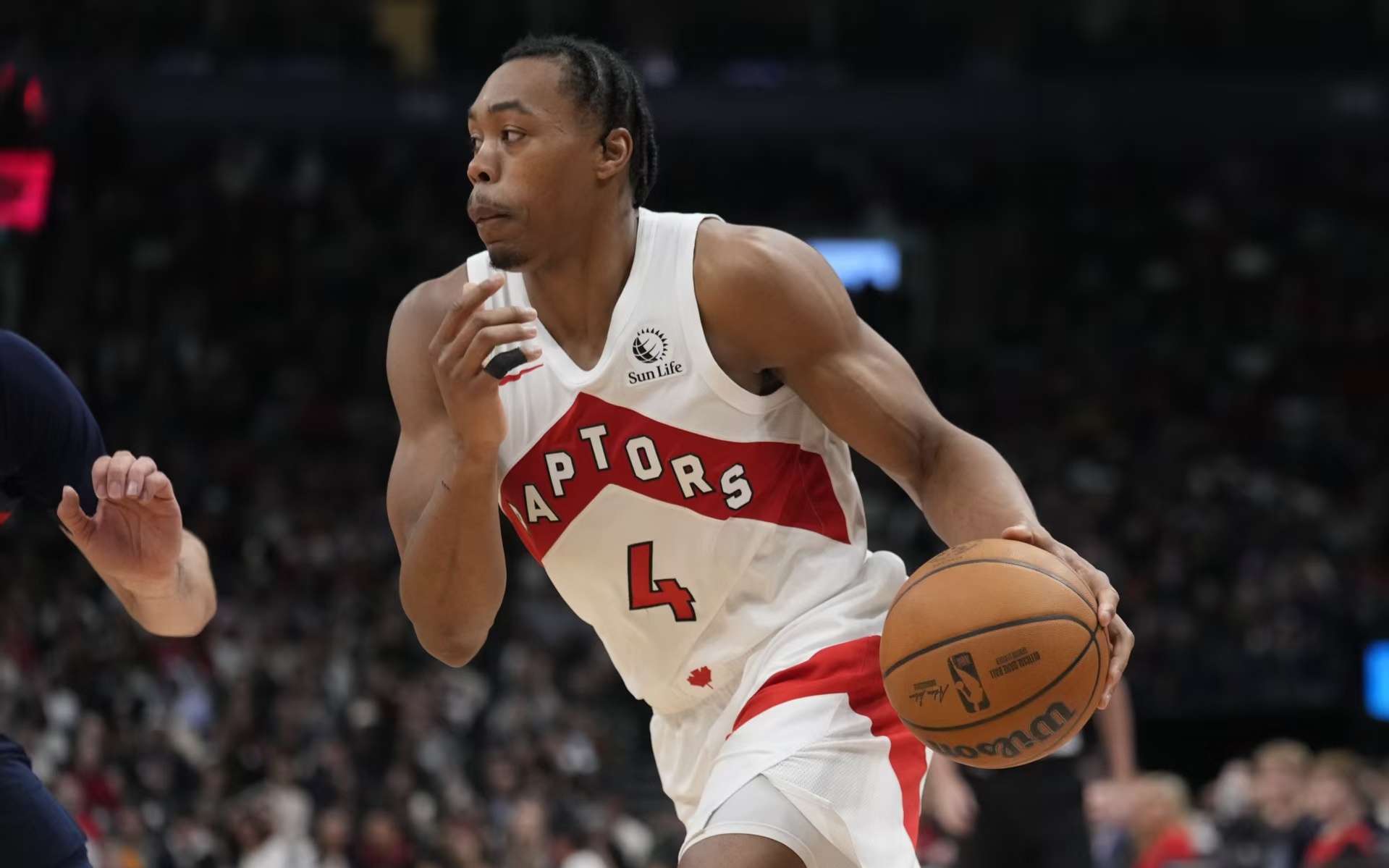 猛龙险胜全明星入选，米切尔关键表现点燃全场！的简单介绍